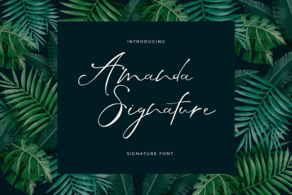 Amanda Signature Font for Elegant, Consistent Branding