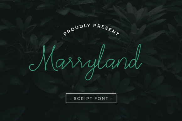 Marryland: A Modern Script Font for Elegant Digital Branding