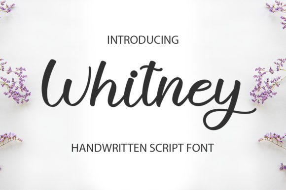 Withney: Elegant Script Font for Digital Branding